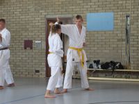 Bilder_2014 (23)